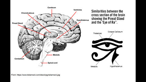 The Empire of the Pineal Gland - Conscious Rasta Report