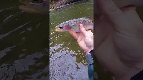 🌈🐟Beautiful Rainbow On A Cloudy Day 🌈🐟#shorts #fishingshorts