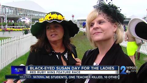 Black Eyed Susan a day for the ladies