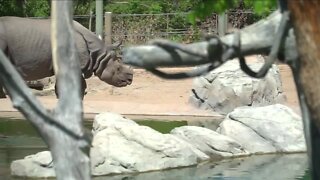 Denver Zoo jumps through hoops ahead of much-awaited reopening