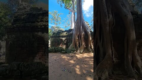 Angkor Wat And Surrounding Temples Siem Reap Cambodia 🇰🇭 #shorts #siemreap #cambodia #angkorwat