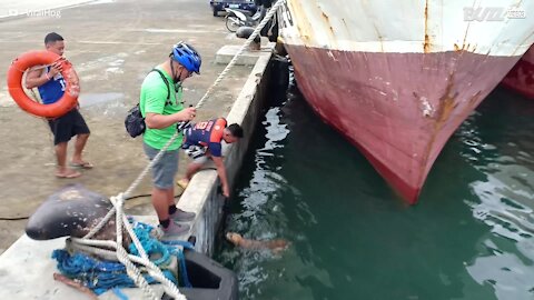 Coast Guard rescues dog from sea