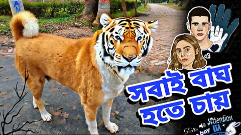 💥 জাবিতে বাঘের আনাগোনা 🤣 Raw Clips at Jahangirnagar University