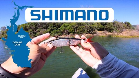 Throwing Swimbaits for Pressured Fish!