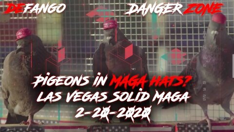 Pigeons in MAGA hats? las Vegas Solid Maga - Danger Zone Live - 2-20-2020