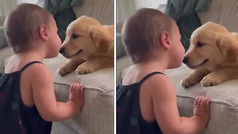 Baby kisses dog