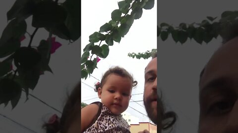 PEGANDO NA PLANTINHA - FIQUEM COM DEUS - TCHAU PESSOAL #shorts #linda #bebe #viral