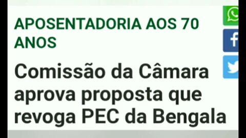 DEP. BIA KICIS APROVA PEC DA BENGALA NA CCJ, E VIRA ALVO DE PERSEGUIÇÃO.