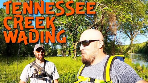 Tennessee Creek Wading ( Ft - Creek Fishing Adventures )