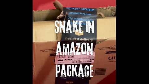 Couple orders Xbox from Amazon, finds cobra in package