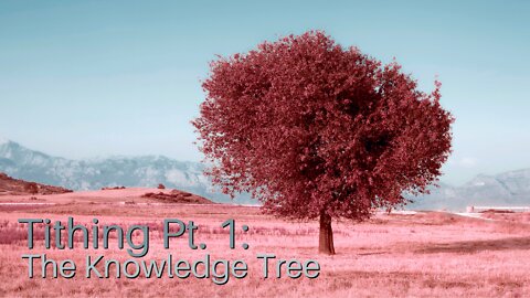 Tithing Pt. 1: The Knowledge Tree