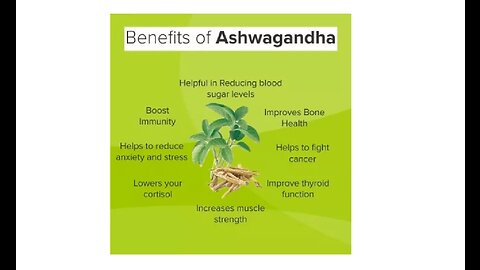 Ashwagandha Adaptogenic Stress Fighting Brain Benefits