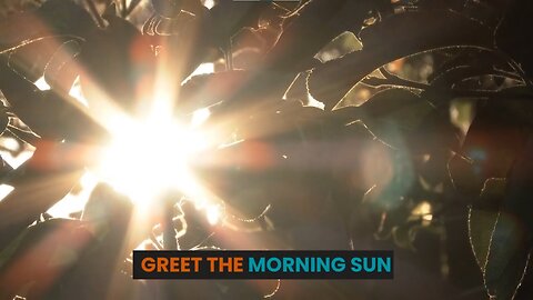 GREET THE MORNING SUN