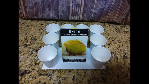 Starting Sweet Yellow Spanish Onion Seeds 1/6/24