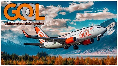 A História da Gol Linhas Aéreas - ler e empreender