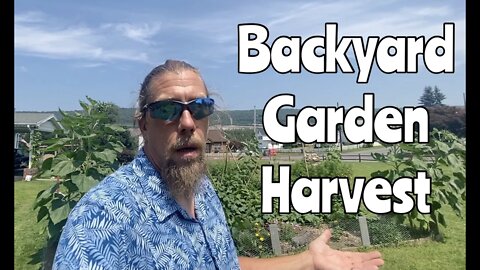 Backyard Gardening Harvest, Grow Your Own Food