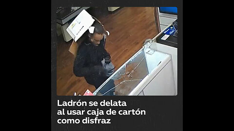 Ladrón intenta ocultarse con caja de cartón, pero es capturado por un error