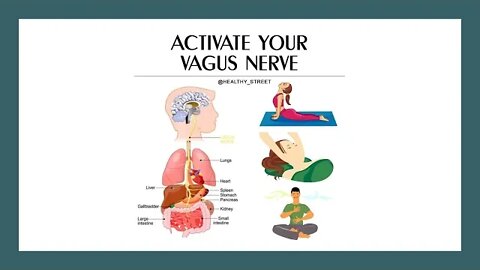 Vagus Nerve Stimulation