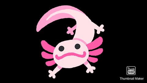 Axolotl Time!