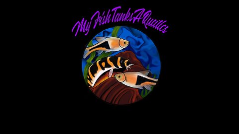 MyFishTanksAQuatics Live Stream Pop4 Testing VDO.NIJA