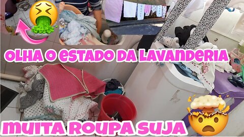 A LAVANDERIA ESTAVA UM NOJO //LAVEI MUITA ROUPA E TAPETE// O RALO ENTUPIU // MACHUQUEI A MÃO