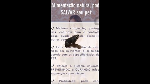 Cachorro sem vergonha