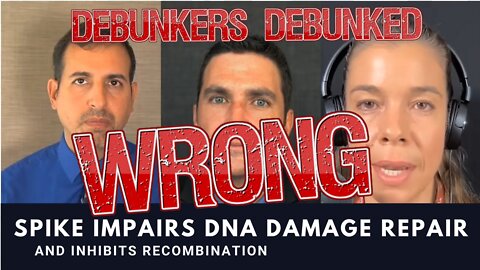 Top debunkers debunked. Spike alters DNA repair