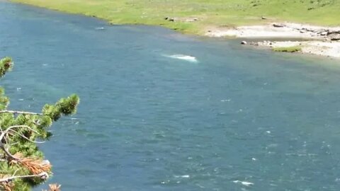 Steam vents under the Yellowstone River