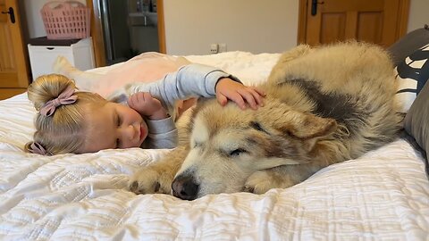 Adorable Baby Girl Tries To Convince Sulking Dog It's BATH Time! (Cutest Ever!!)