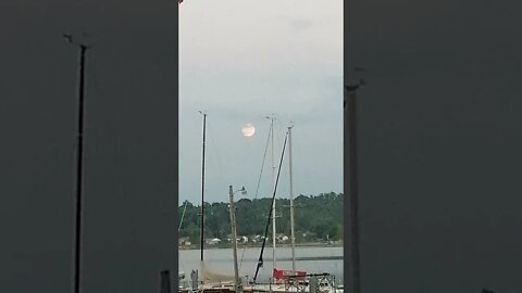 Very Large Full Buck Moon in Ontario