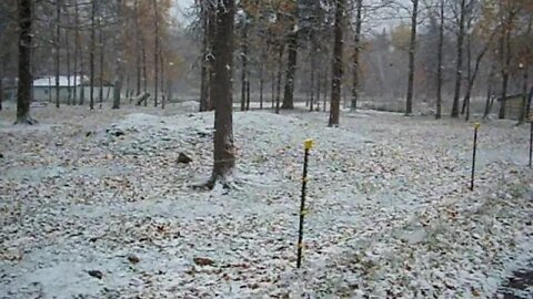 Fall Snow