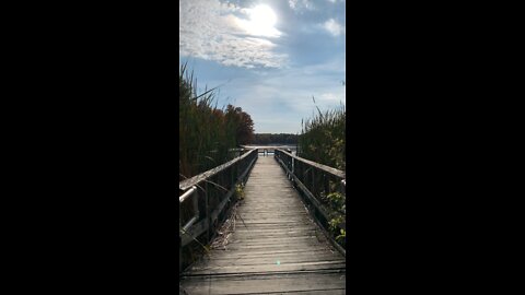 Fall at the refuge