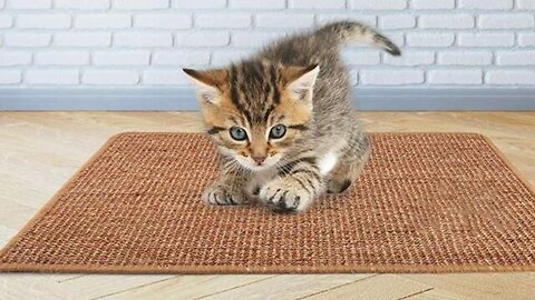 Natural Sisal Felt Cat Scratching Mat