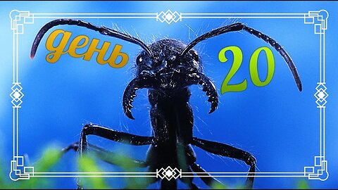 #AnToxiс 📅 День 2️⃣0️⃣ Колония стала больше 🐜🐜🐜 #ants #colony #antlife @ParaToxic