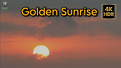 Golden Sunrise 🌅 \ Nature Lovers \