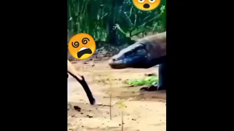 Comodo Dragon Attacked on Got