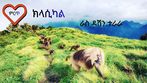 የ30 ደቂቃ ምርጥ ክላሲካል (ኢንስትሩመንታል) ስብስብ፡ ቁጥር 1