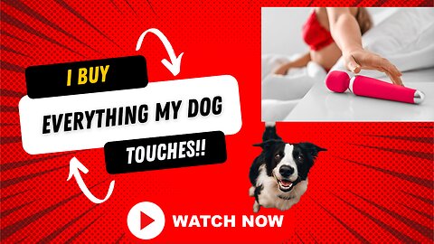 Buying everything my dog touches!