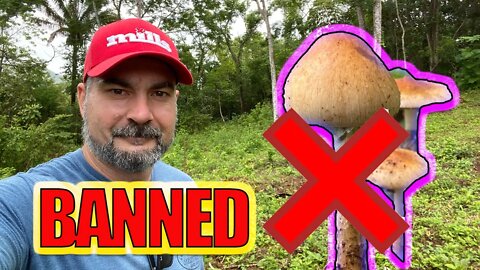 MY FIRST BANNED VIDEO (Cubensis)