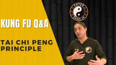 Tai Chi Peng Principle Question | Kung Fu Training