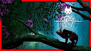 Stray - #3 Jogo Completo (Gameplay Sem Comentários) PT-BR Walkthrough