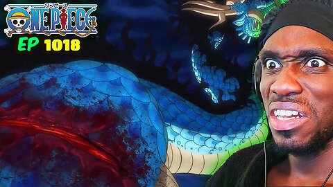 ZORO HURTS KAIDO!! One Piece Episode 1018 REACTION