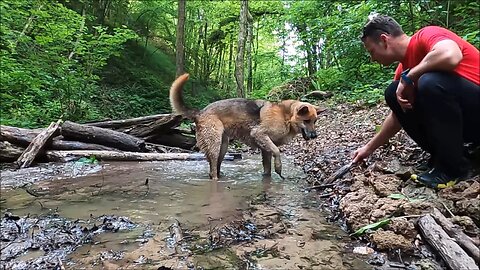 Man and Dog Playing in Water