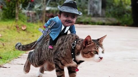 Adorable Babies Playing with Cats