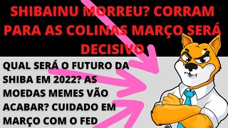 #shibainu morreu? como será 2022 para as memecoins? Março será o apocalipse? -102