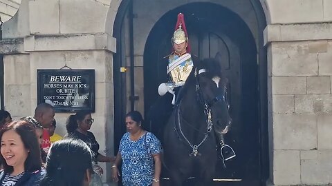 another one leaning on the guards boot #horseguardsparade