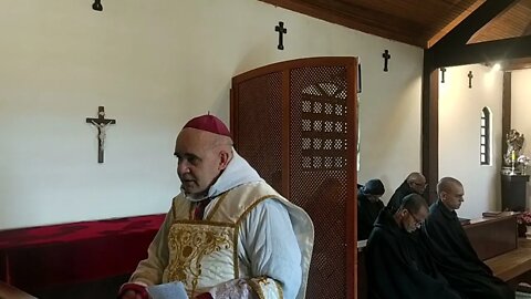 Sermão - Festa da Assunção de Nossa Senhora - Viver em Maria