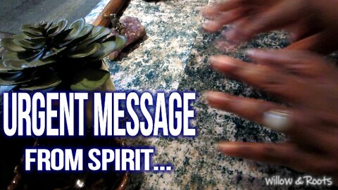 ✨Urgent Message For Spirit✨ (Timeless)✨