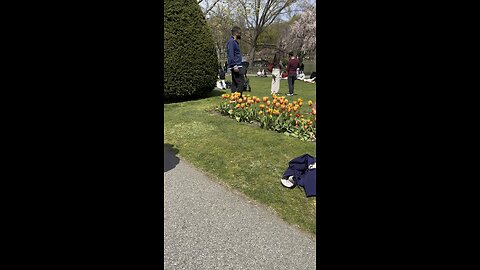 💐💥Boston Public Garden