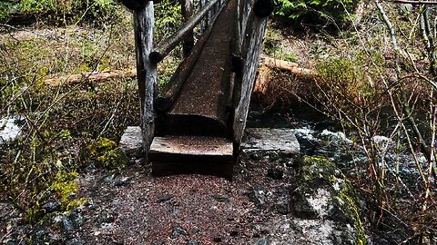 CROSSING RUSTIC LOG BRIDGE OVER GORGEOUS ROARING FISH LAKE CREEK! | 4K | Clear Lake | Central Oregon